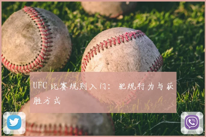 UFC 比赛规则入门：犯规行为与获胜方式